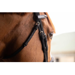 Birdon Oxford Performance Pénélope Schwarz