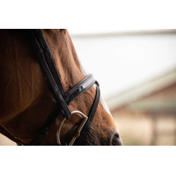 Birdon Oxford Performance Pénélope Schwarz