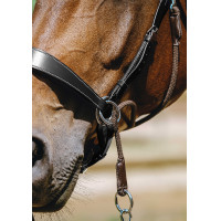 Bitless-Zaumzeug Norton Havanna Braun Bitless-Zaumzeug Norton Havanna Braun
