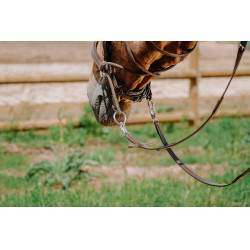 Bitless-Zaumzeug Norton Havanna Braun