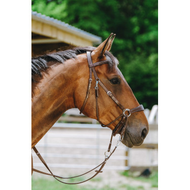 Bitless-Zaumzeug Norton Havanna Braun