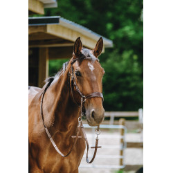 Bitless-Zaumzeug Norton Havanna Braun