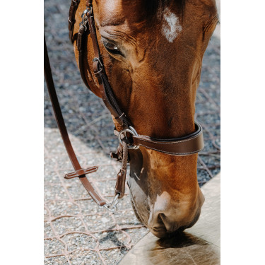 Bitless-Zaumzeug Norton Havanna Braun