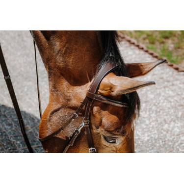 Bitless-Zaumzeug Norton Havanna Braun
