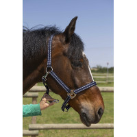 Halfter Norton Grooming Marineblau Halfter Norton Grooming Marineblau