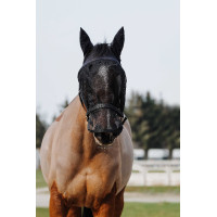 Halfter + Maske Equithème