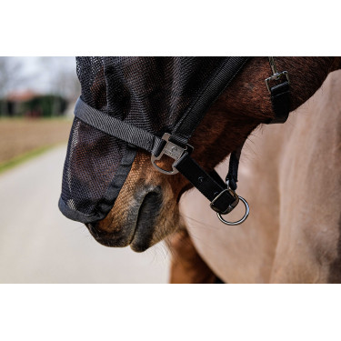Halfter + Maske Equithème Halfter + Maske Equithème
