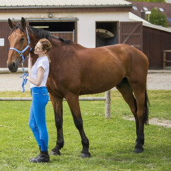 Equithème Verona Damenreithose