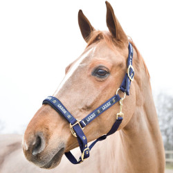Halfter Hamptons Horze Blau