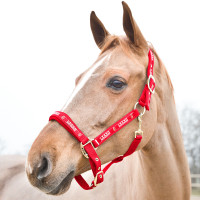 Halfter Hamptons Horze Rot