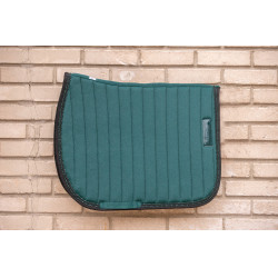 Vertikale Teppiche Paddock Sports Dunkelgrün / Schwarz Gr&uuml;n