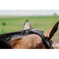 Bridon Freedom Norton Schwarz Bridon Freedom Norton Schwarz