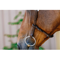 Bridon Freedom Norton Schwarz