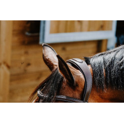 Bridon Freedom Norton Havanna Braun