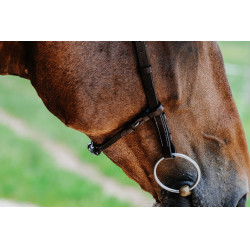 Bridon Freedom Norton Havanna Braun