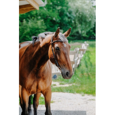 Bridon Freedom Norton Havanna Braun