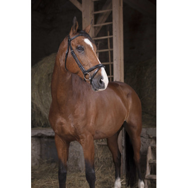 Bridon Norton Pro Fin Bridon Norton Pro Fin