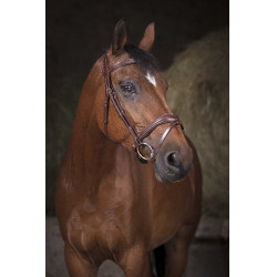 Bridon Norton Pro Welle Havanna Braun