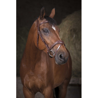 Bridon Norton Pro Welle Havanna Braun