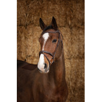 Trense Norton Pro Perle Havanna Braun Trense Norton Pro Perle Havanna Braun
