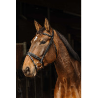 Bridon Norton Pro Apophyse Schwarz Bridon Norton Pro Apophyse Schwarz