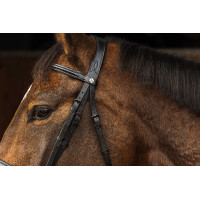 Bridon Norton Pro Dark Schwarz Bridon Norton Pro Dark Schwarz