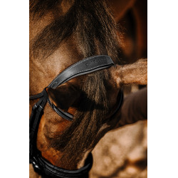 Bridon Eric Thomas Work Schwarz Bridon Eric Thomas Work Schwarz