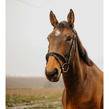 Bridon Norton Club Square Schwarz