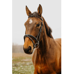 Bridon Norton Club Easy Schwarz