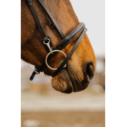 Bridon Norton Club Easy Schwarz