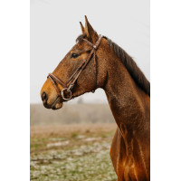 Bridon Norton Club Easy Schwarz