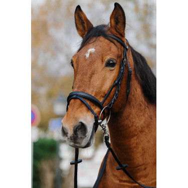 Bridon Norton Training Schwarz