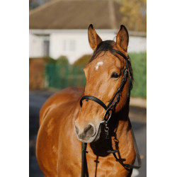 Bridon Norton Training Schwarz