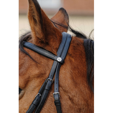 Bridon Norton Training Schwarz