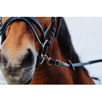 Gummizügel Norton Training PVC Schwarz