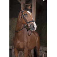 Norton Pro Supergrip Zügel Schwarz Norton Pro Supergrip Zügel Schwarz