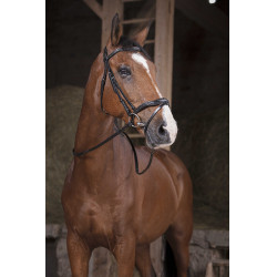 Norton Pro Supergrip Zügel Schwarz