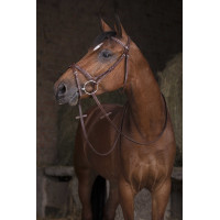 Zügel Hunter Norton Pro 16 mm Schwarz Zügel Hunter Norton Pro 16 mm Schwarz