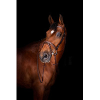 Zügel Hunter Eric Thomas Elite 16 mm Havanna Braun Zügel Hunter Eric Thomas Elite 16 mm Havanna Braun