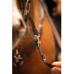 Ausbinder Pénélope Howlett Havanna Braun