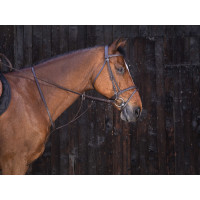 Martingal mit Ringen Riding World Schwarz Martingal mit Ringen Riding World Schwarz