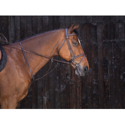 Martingal mit Ringen Riding World Martingal mit Ringen Riding World