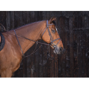 Martingal mit Ringen Riding World Martingal mit Ringen Riding World