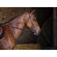 Feststehende Martingal Riding World