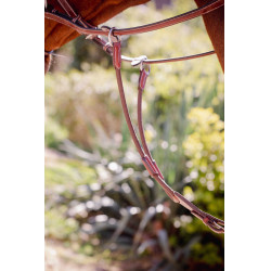 Martingalschieber Pénélope Bip Light US elastisch Haselnuss Braun