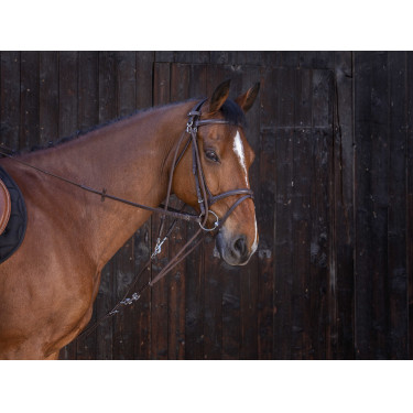 Flaschenzug Gogue Riding World Flaschenzug Gogue Riding World