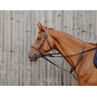 Norton Pro Thiedeman Hilfszügel Schwarz