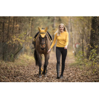 Fliegenhaube Lami-Cell LC Honig / Gold Gelb Fliegenhaube Lami-Cell LC Honig / Gold Gelb