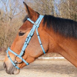 Trensenzaum Biotack® T de T Hellblau