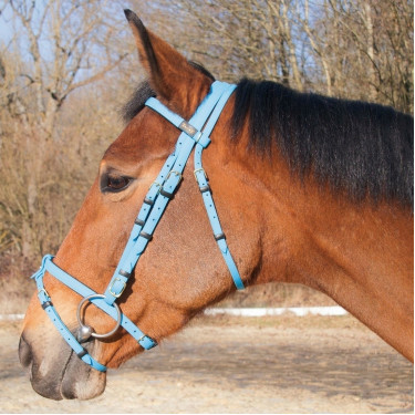 Trensenzaum Biotack® T de T Hellblau